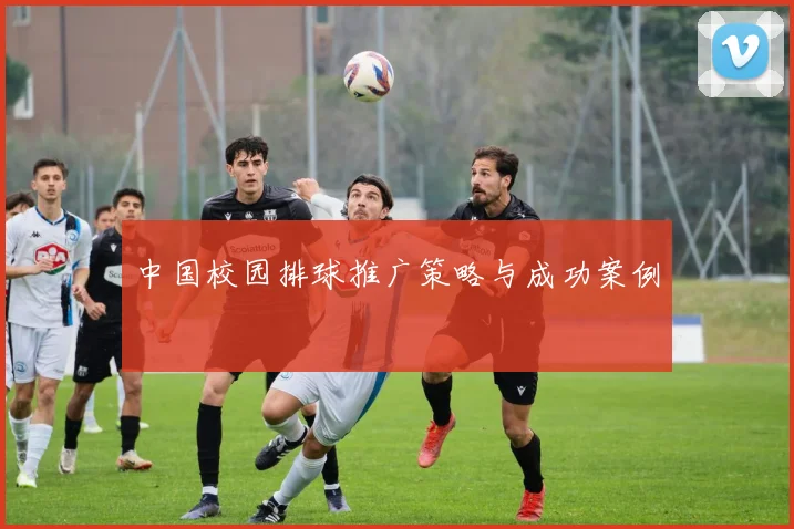 中国校园排球推广策略与成功案例