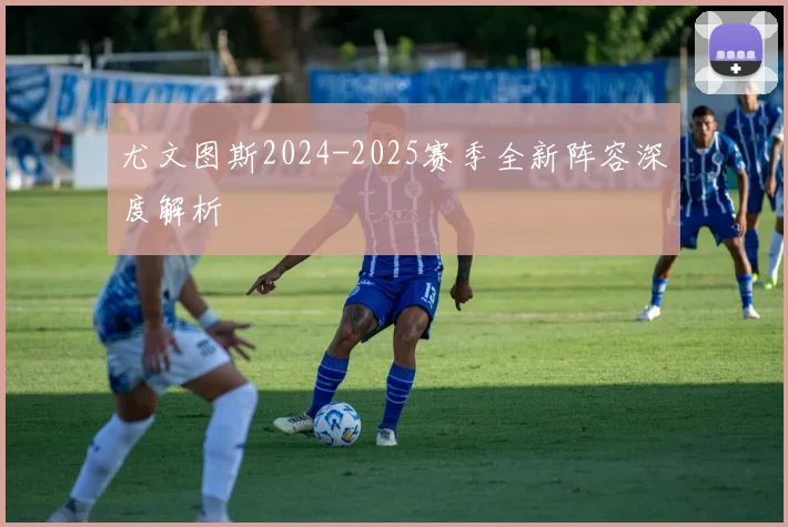 尤文图斯2024-2025赛季全新阵容深度解析